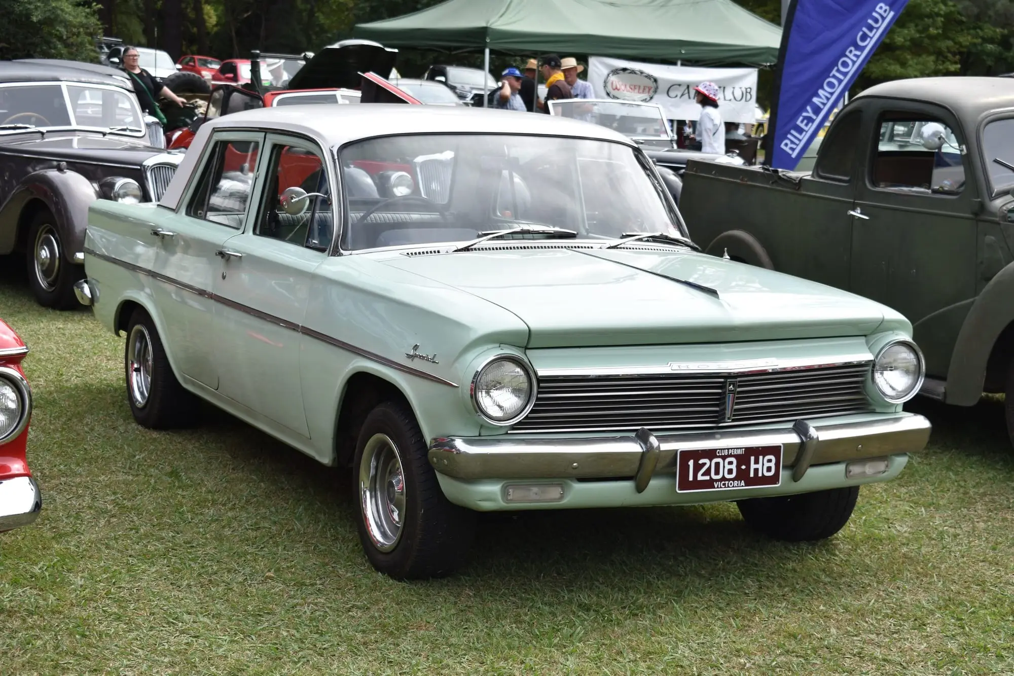 Mint green 1965 Holden EH Special with Victorian club plates on the grass at a car club show